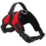 Adjustable Harness