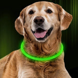 LED  Colllar
